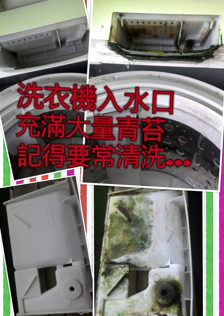 洗衣入水口充滿大量青苔,記得要常清洗